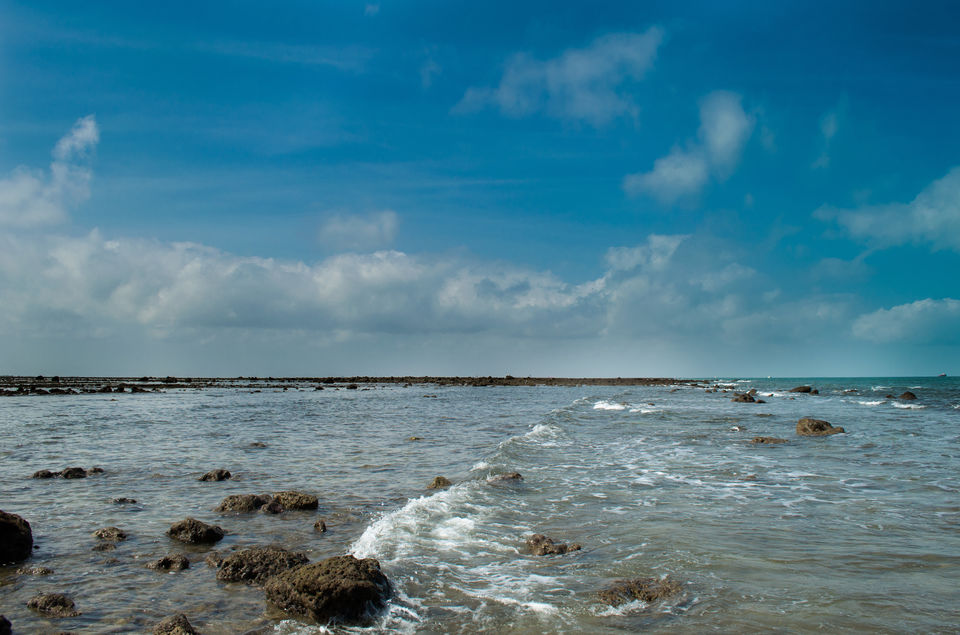 Photo of Fascinating Coral Walk @ Narara Marine National Park 16/22 by Sheetal Goel