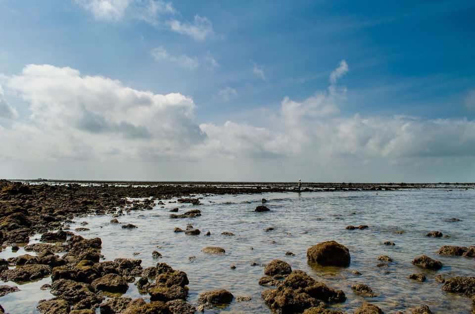 Photo of Fascinating Coral Walk @ Narara Marine National Park 17/22 by Sheetal Goel
