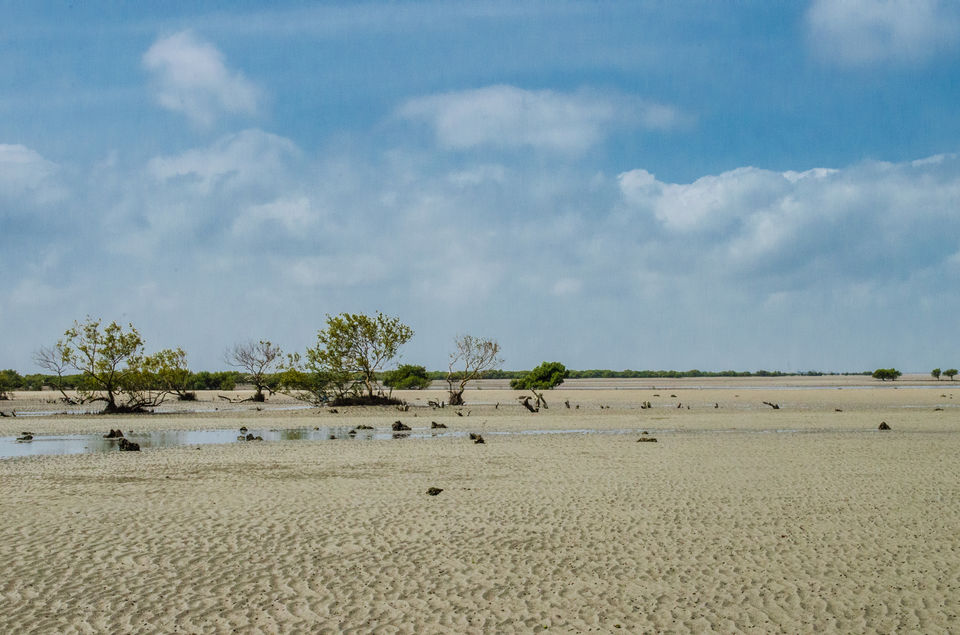Photo of Fascinating Coral Walk @ Narara Marine National Park 20/22 by Sheetal Goel