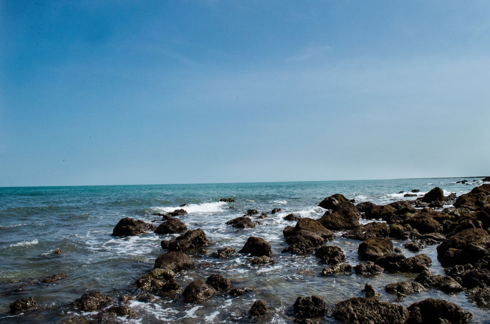 Photo of Fascinating Coral Walk @ Narara Marine National Park 18/22 by Sheetal Goel