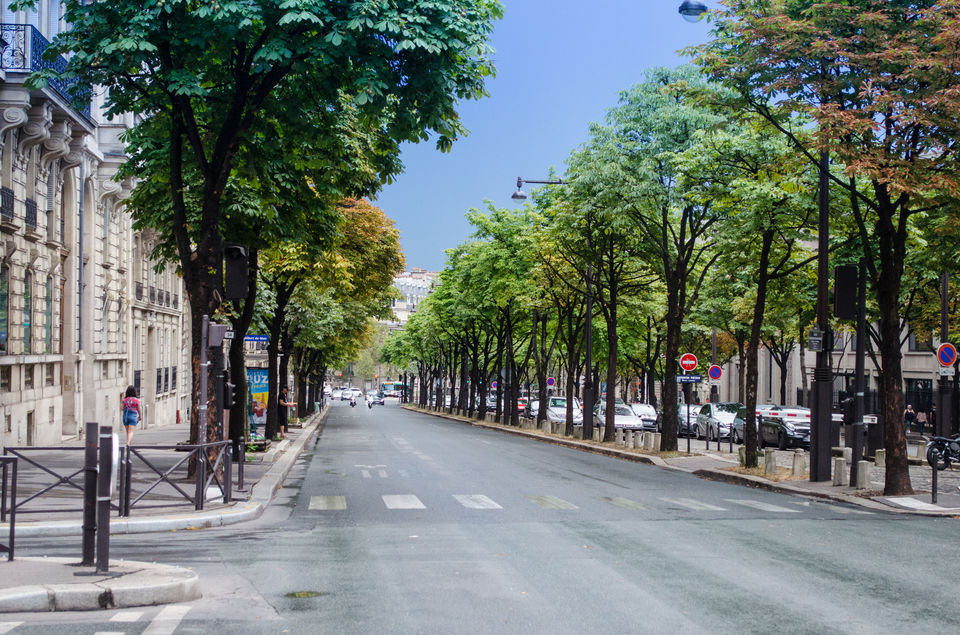 Photo of City of love, Paris 11/14 by Sheetal Goel