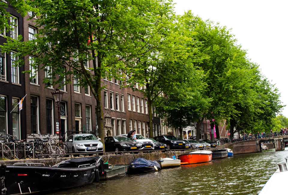 Photo of It's all about Netherlands!! 16/18 by Sheetal Goel