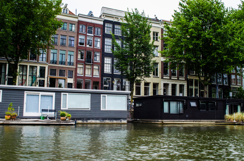 Photo of It's all about Netherlands!! 17/18 by Sheetal Goel