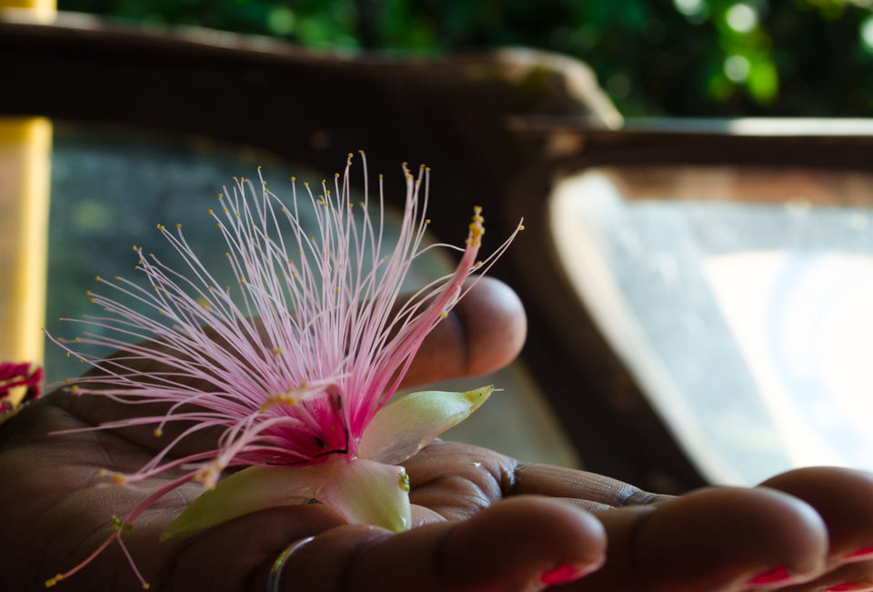 Photo of Poovar, Kerala, India by Sheetal Goel