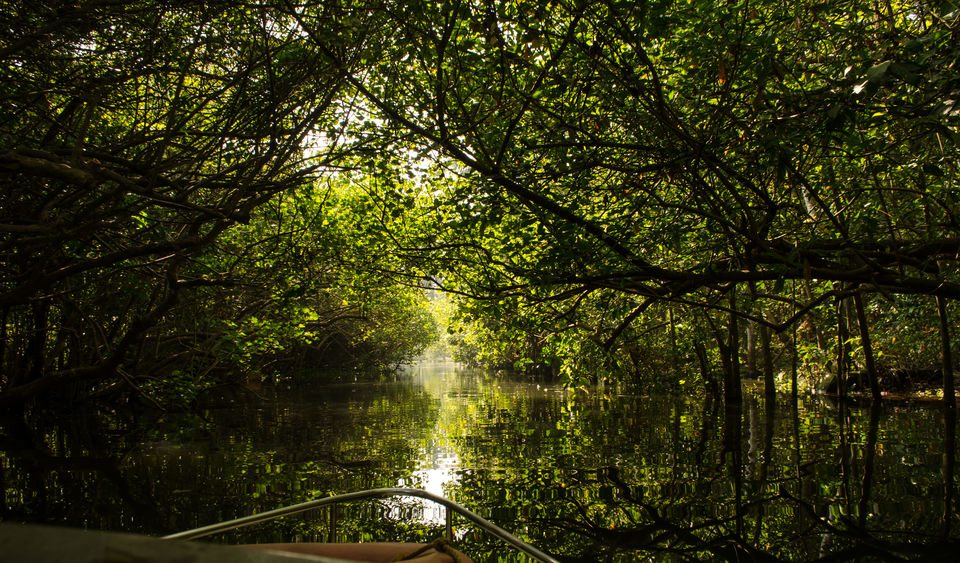 Photo of Heading to Kerela: Here's the perfect 2 days itinerary, Trivandrum> Kovalam> Poovar by Sheetal Goel