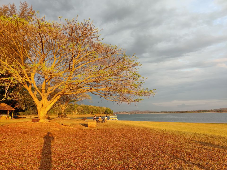 Photo of This gorgeous resort is a Hidden Gem in Karnataka! @Waterwoods resort, Kabini 6/14 by Sheetal Goel