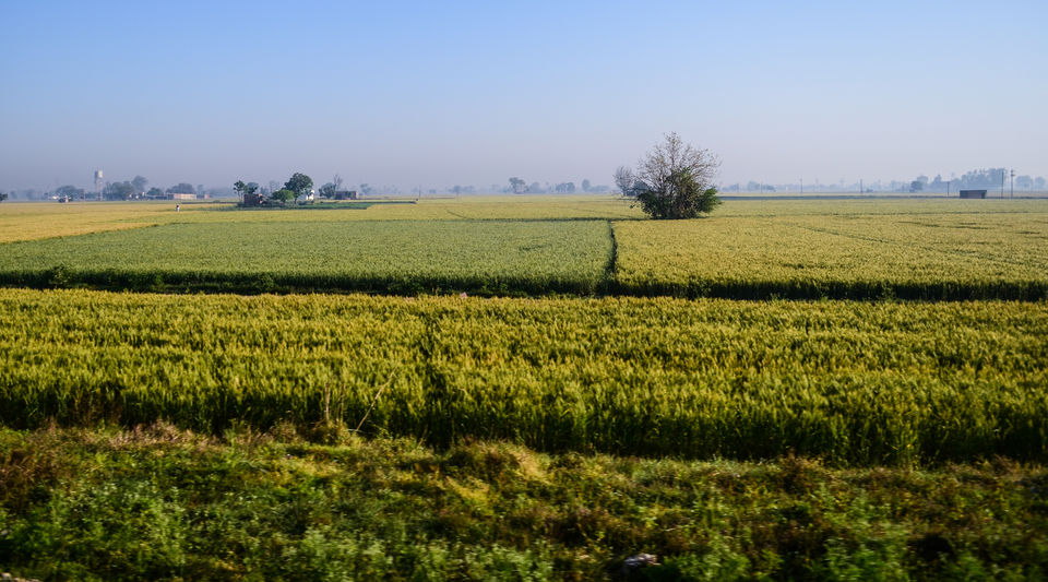 Photo of Divine Amritsar.. 1/9 by Sheetal Goel