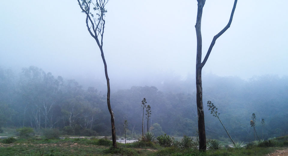 Photo of Road Trip to Nandi Hills.. 1/9 by Sheetal Goel