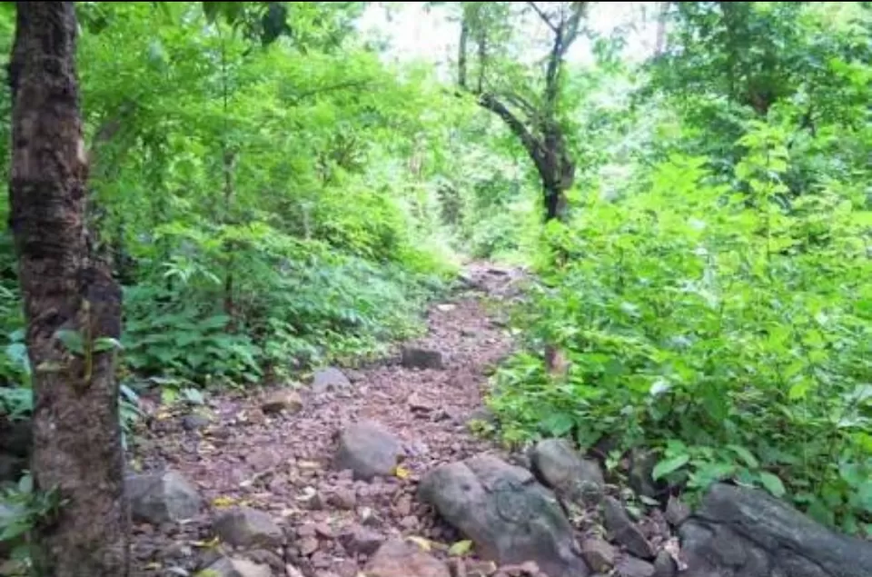 Photo of Chinchoti Waterfalls: An adrenaline trek by Ammar Jawadwala