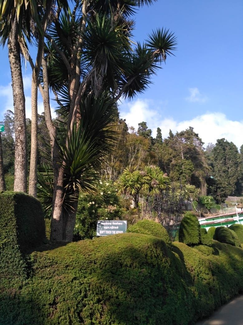 Photo of And then I decided to visit the wonderland Ooty#southindiaitinerary by Deboleena Sen