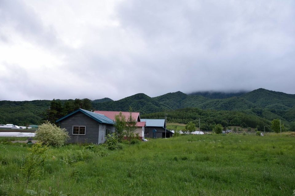 Photo of Japan in Two Weeks: Technology, Weird Stuff, People, Nature and Unique Culture 7/10 by Sachin Agrawal