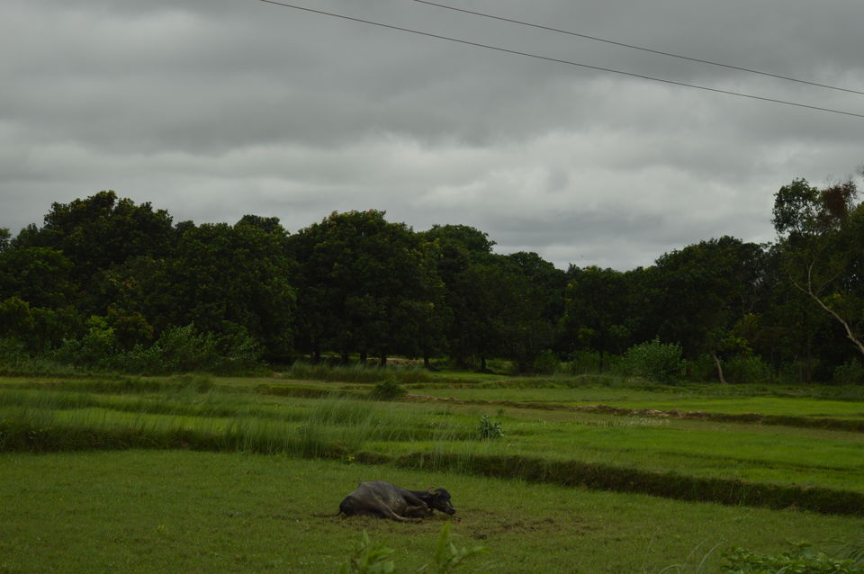 Photo of WHERE IS HAITHI BALI? 2/3 by Rajesh Kumar
