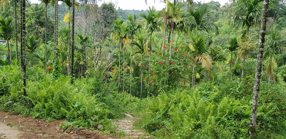 Photo of Mawlynnong - A day in Asia's Cleanest Village by Siva Ilankumaran