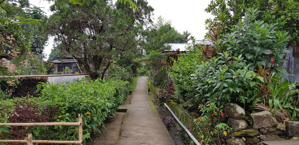Photo of Mawlynnong - A day in Asia's Cleanest Village by Siva Ilankumaran