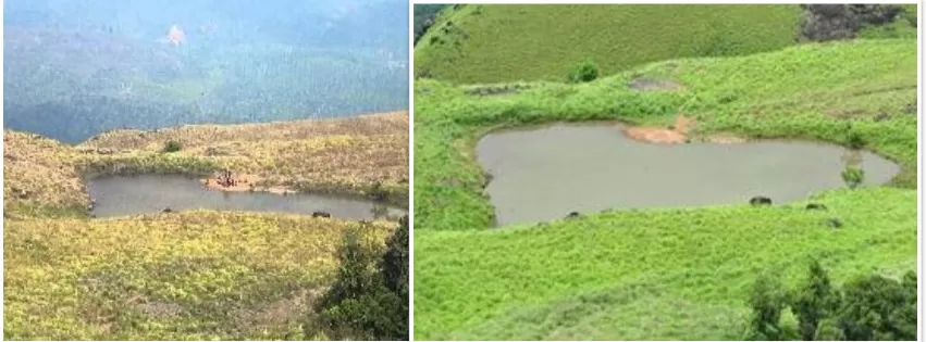 Photo of Chembra Peak, Kerala by Siva Ilankumaran