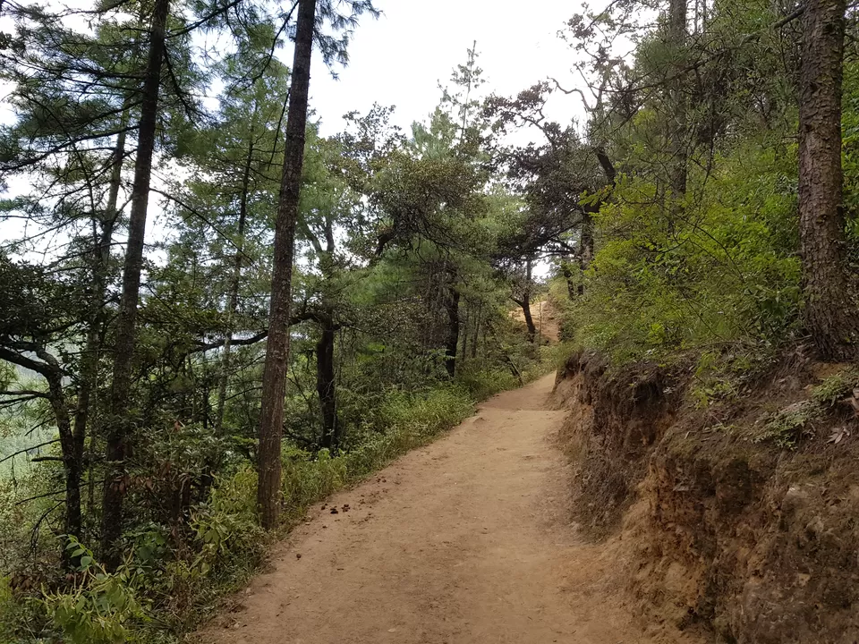 Photo of Tiger’s Nest, Taktsang Trail, Bhutan by Siva Ilankumaran