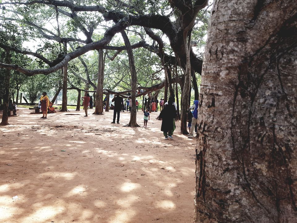Photo of Enjoying the French Colony Pondicherry through 6 Things by Siva Ilankumaran