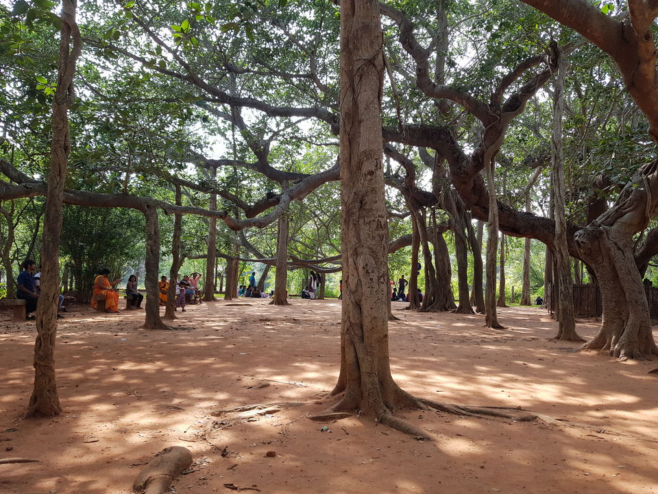 Photo of Enjoying the French Colony Pondicherry through 6 Things by Siva Ilankumaran