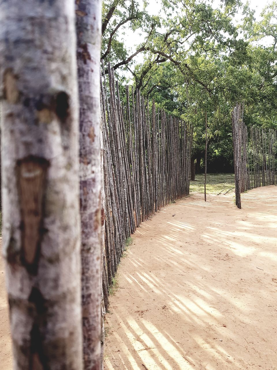 Photo of Enjoying the French Colony Pondicherry through 6 Things by Siva Ilankumaran