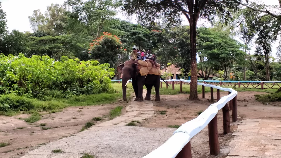 Photo of Dubare Elephant Camp, Nanjarayapatna, Karnataka, India by Siva Ilankumaran