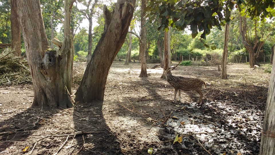 Photo of Nisargadhama, Karnataka by Siva Ilankumaran