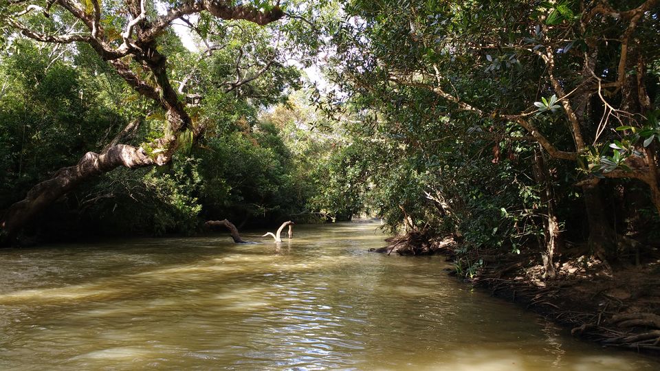 Photo of Nisargadhama, Karnataka by Siva Ilankumaran