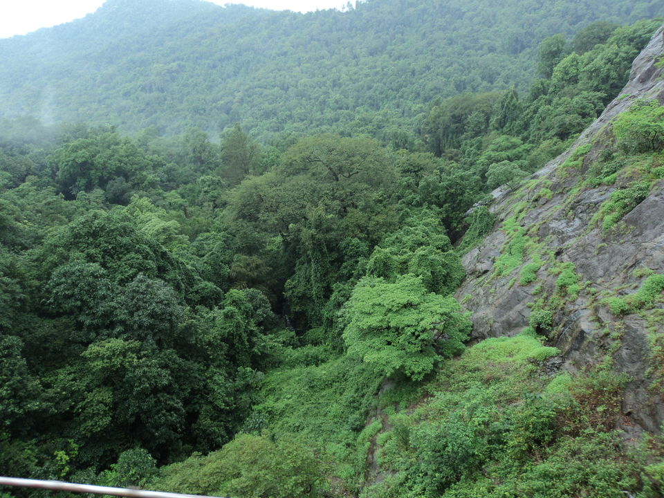 Photo of Dudhsagar Falls, Sonaulim, Goa, India by Siva Ilankumaran