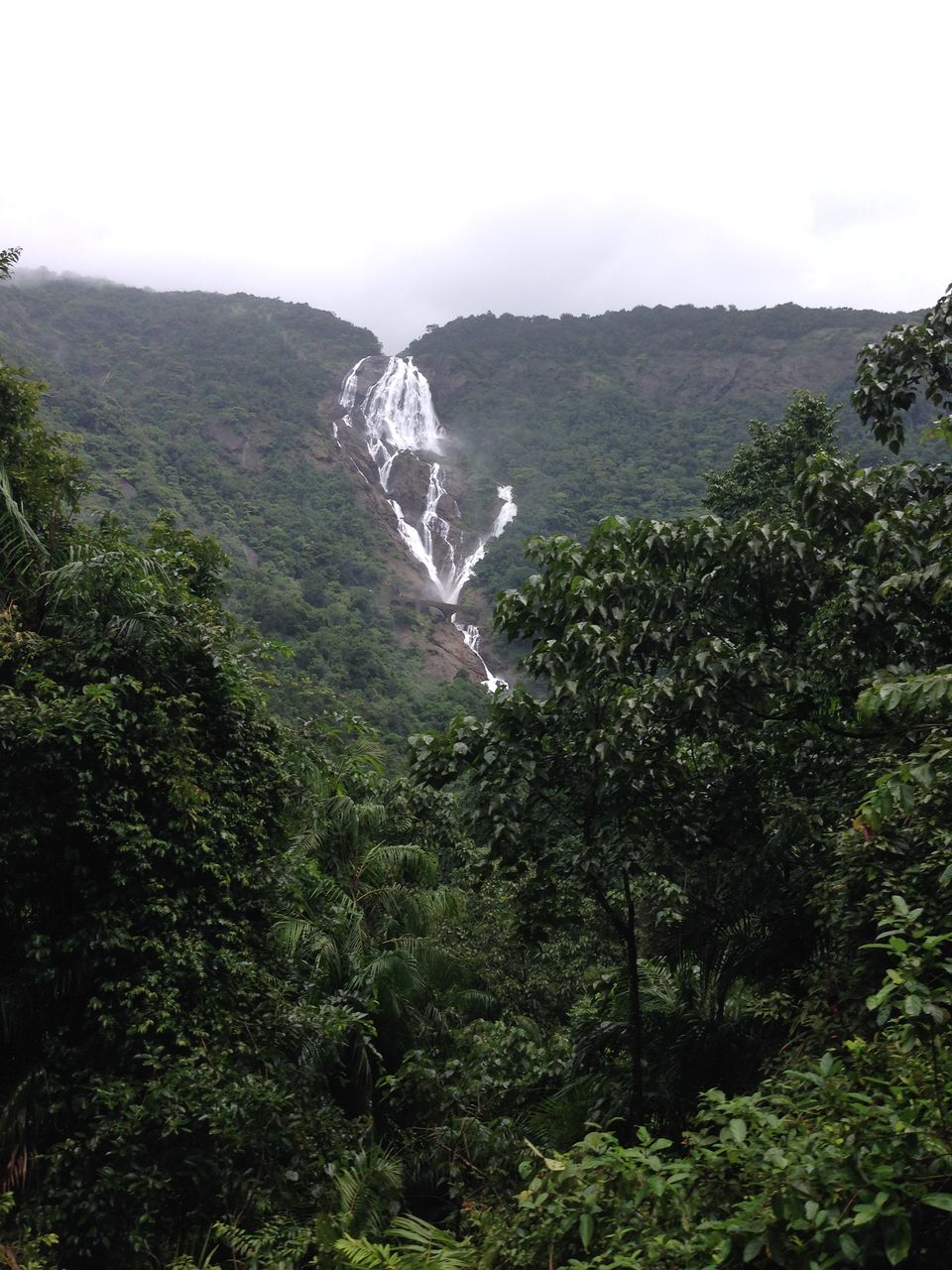 Photo of Dudhsagar Falls, Sonaulim, Goa, India by Siva Ilankumaran