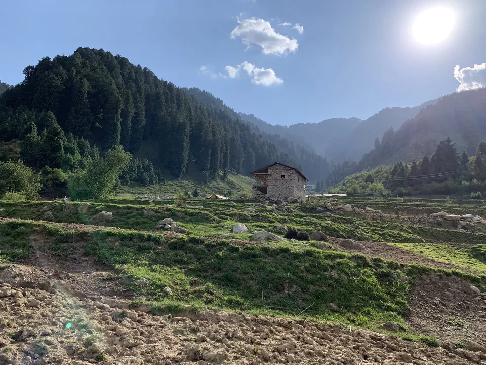 Photo of Rajgundha, Himachal Pradesh (India), Kangra, Himachal Pradesh, India by Siva Ilankumaran