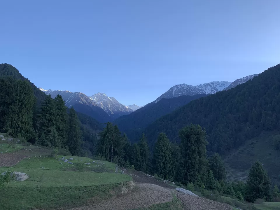Photo of Raj Gunda, Himachal Pradesh, India by Siva Ilankumaran