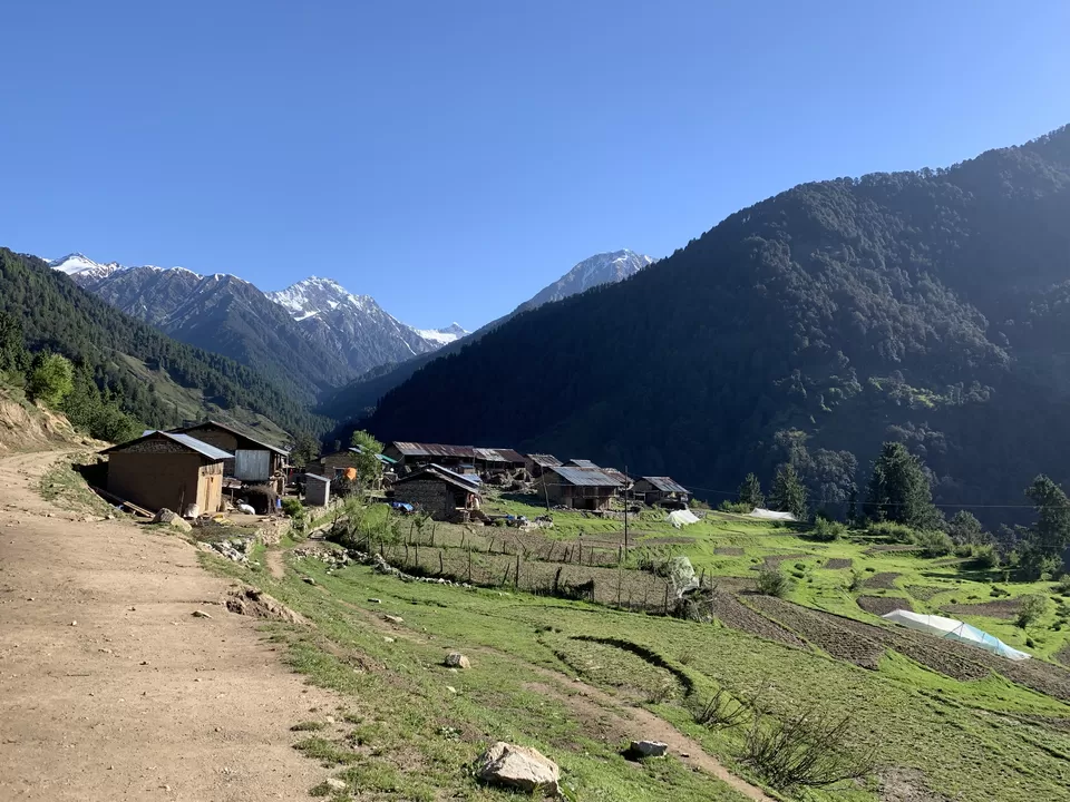 Photo of Raj Gunda, Himachal Pradesh, India by Siva Ilankumaran