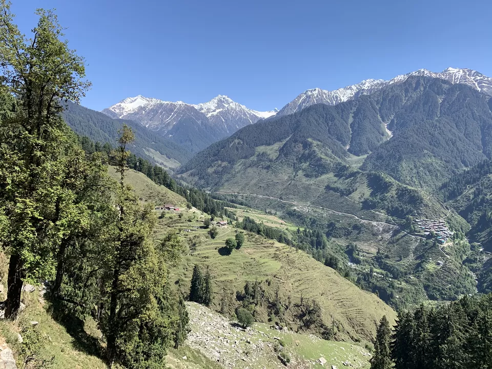 Photo of Raj Gunda, Himachal Pradesh, India by Siva Ilankumaran