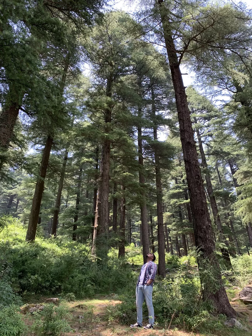 Photo of Dharamkot, Dharamshala, Himachal Pradesh, India by Siva Ilankumaran