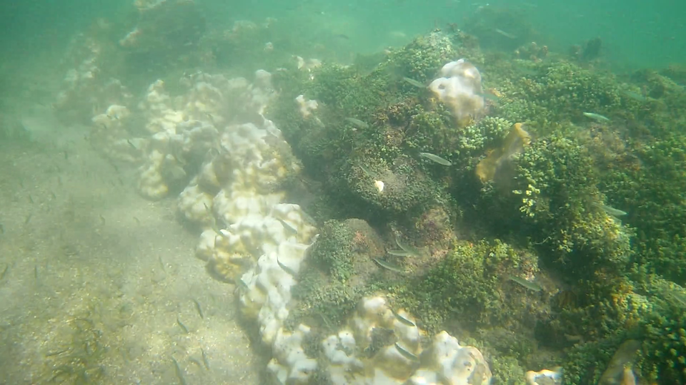 Photo of unexplored Rameswaram - vlog link attached 4/7 by Vinod Raj