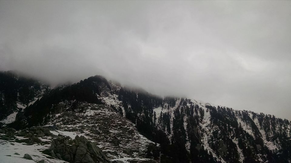 Photo of Triund Trek, Trail to Triund Hill, Dharamshala, Himachal Pradesh, India by Neeraj Mehta