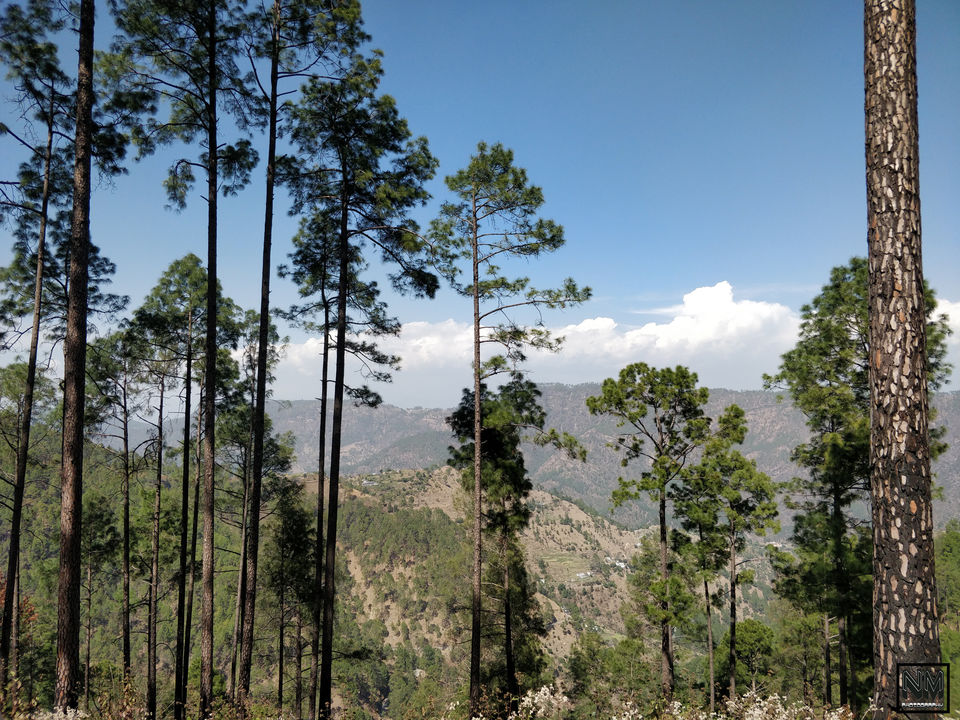 Photo of Kumaon: the Mesmerizing place you must visit once 8/20 by Neeraj Mehta