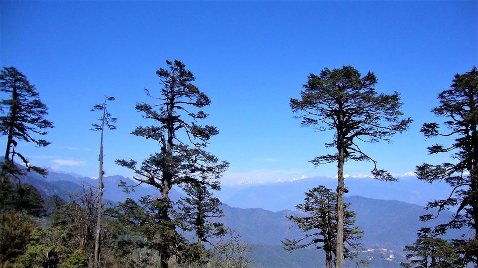 Photo of Dochula, Bhutan by Sinjana Ghosh