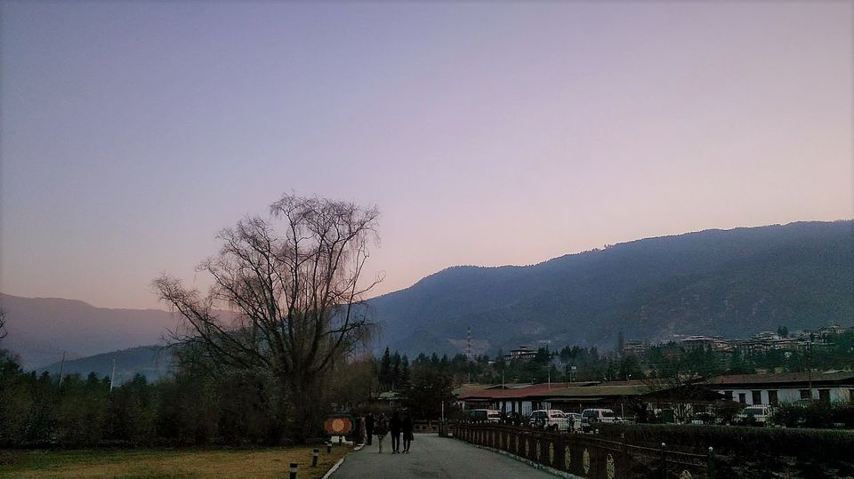 Photo of Motithang Takin Preserve, Motithang, Bhutan by Sinjana Ghosh