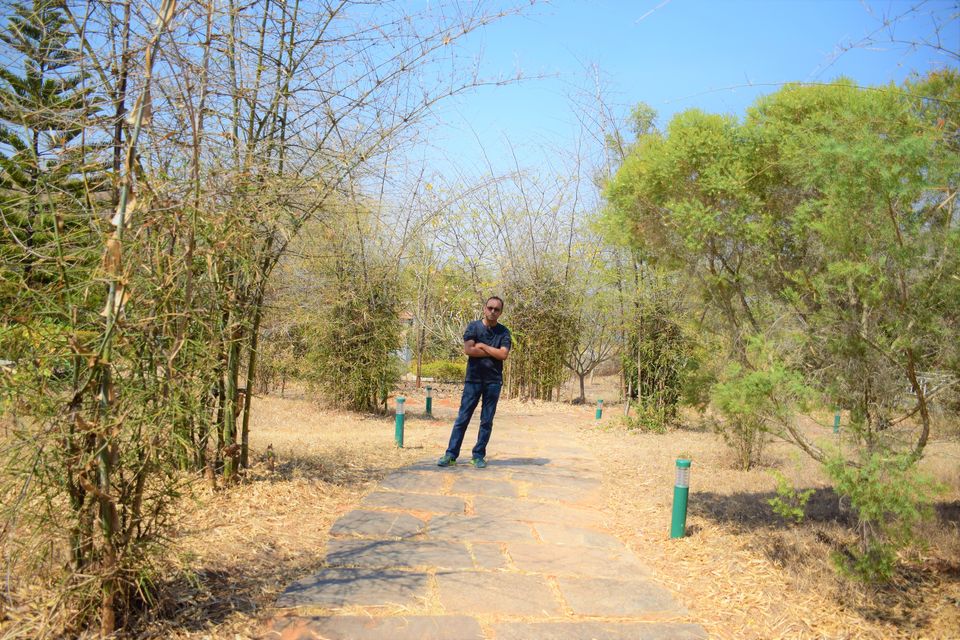 Photo of Bandipur National Park, Bandipur, Karnataka, India by Sinjana Ghosh