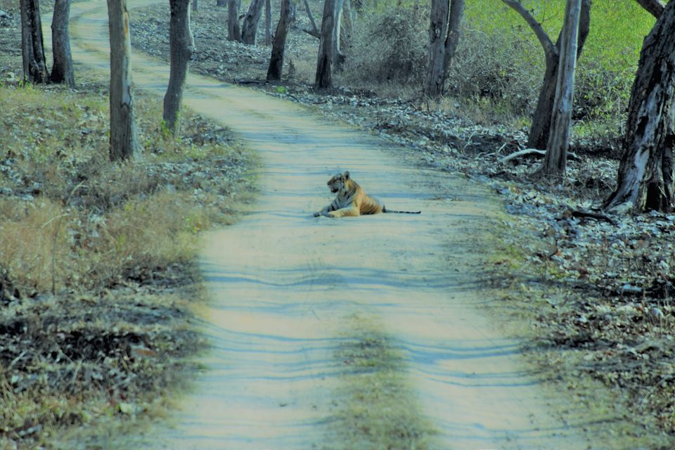 Photo of Bandipur Tiger Reserve #photoblog by Sinjana Ghosh