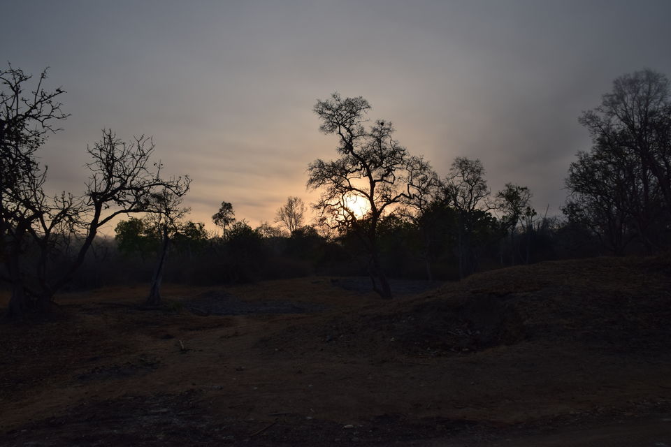 Photo of Bandipur, Karnataka, India by Sinjana Ghosh