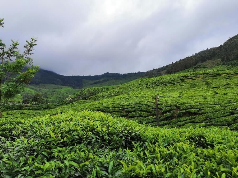 Photo of Drive through the western ghats of India - The perfect itinerary! #westernghatsinphotos by Sinjana Ghosh