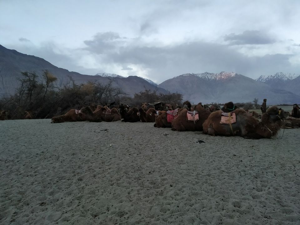Photo of Leh by Janani Iyer