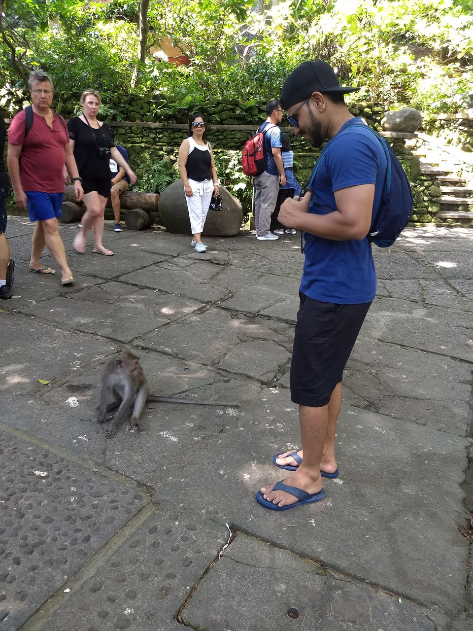 Photo of Bali Trip by traveller monk