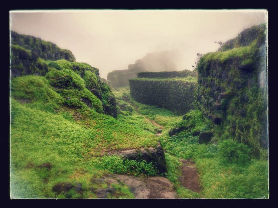 Photo of Nomads: A Trek to Rajgad and Torna by traveller monk