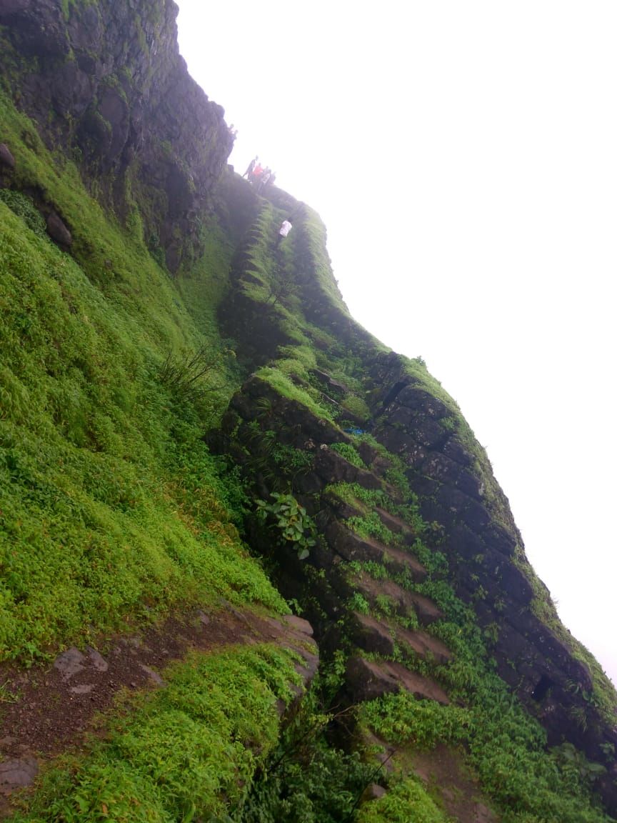 Photo of Nomads: A Trek to Rajgad and Torna by traveller monk