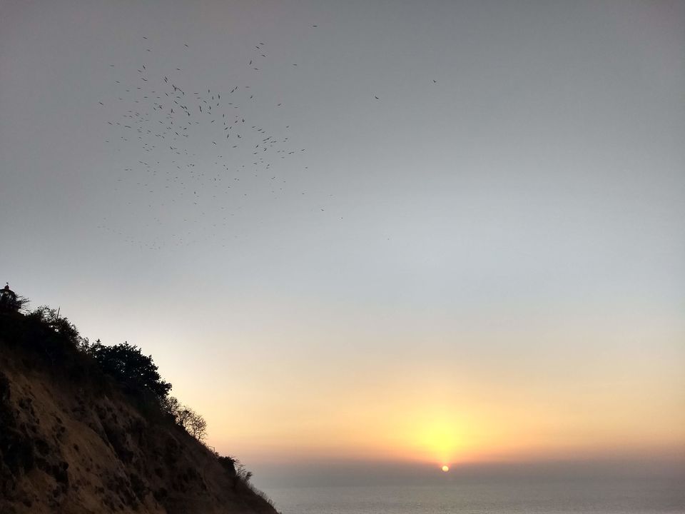 Photo of Trip to Virgin Location: Dolphin Point (Dabhol) 12/33 by traveller monk