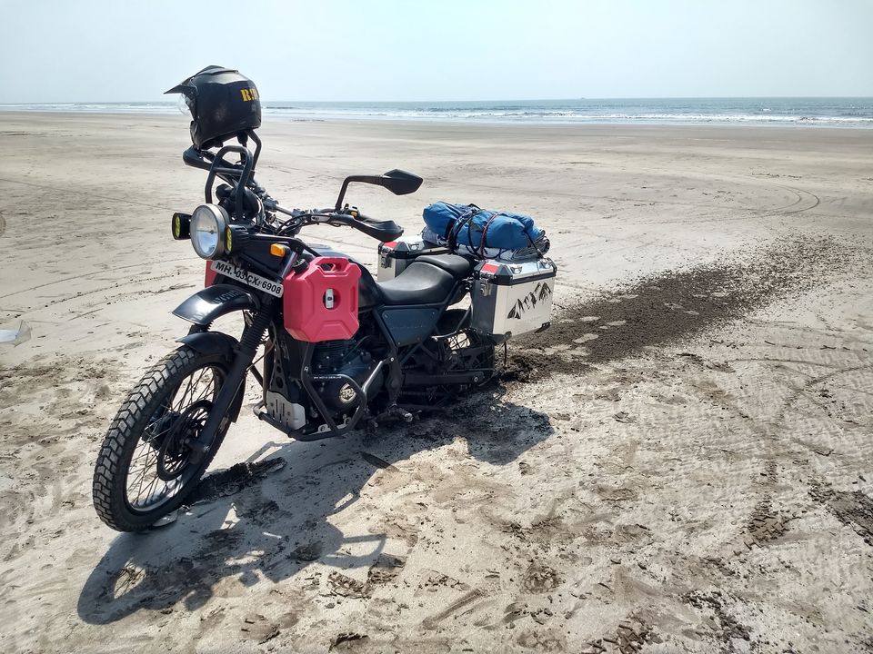 Photo of Trip to Virgin Location: Dolphin Point (Dabhol) 31/33 by traveller monk