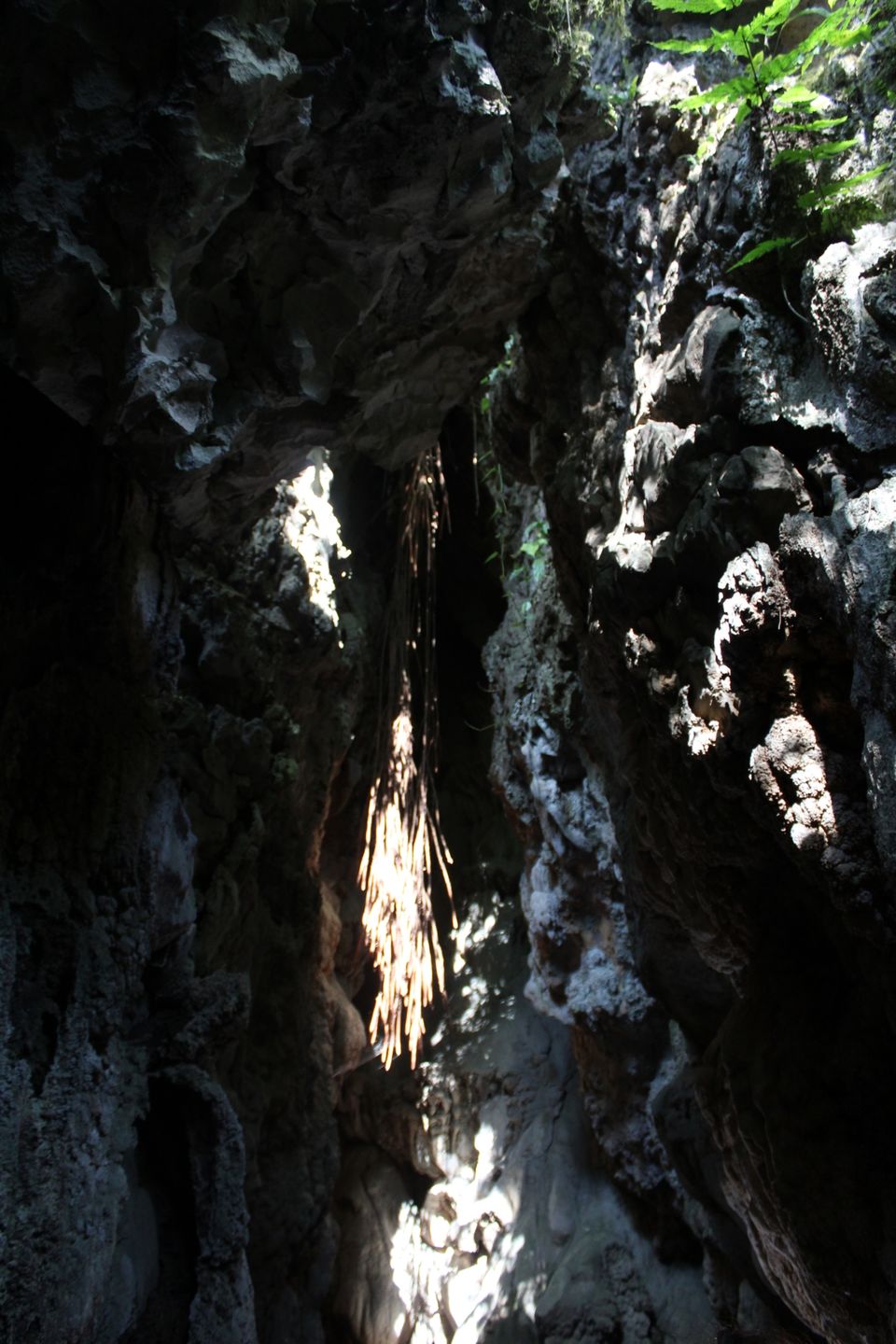 Photo of Mawsmai Cave, Cherrapunjee, Meghalaya, India by Badal Jain