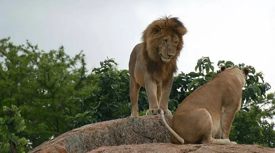 Photo of Kilimanjaro Airport, Kilimanjaro Airport Road, Tanzania by Eliya Tumaini